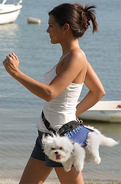 Dog Purse