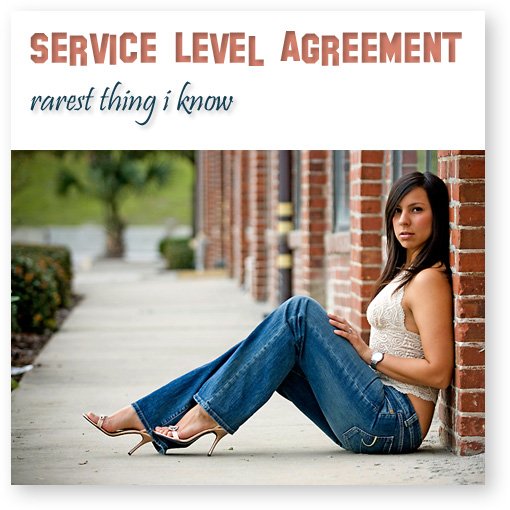 Service Level Agreement - Rarest Thing I Know