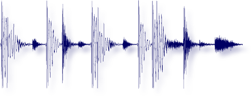 Sound Loop Wave